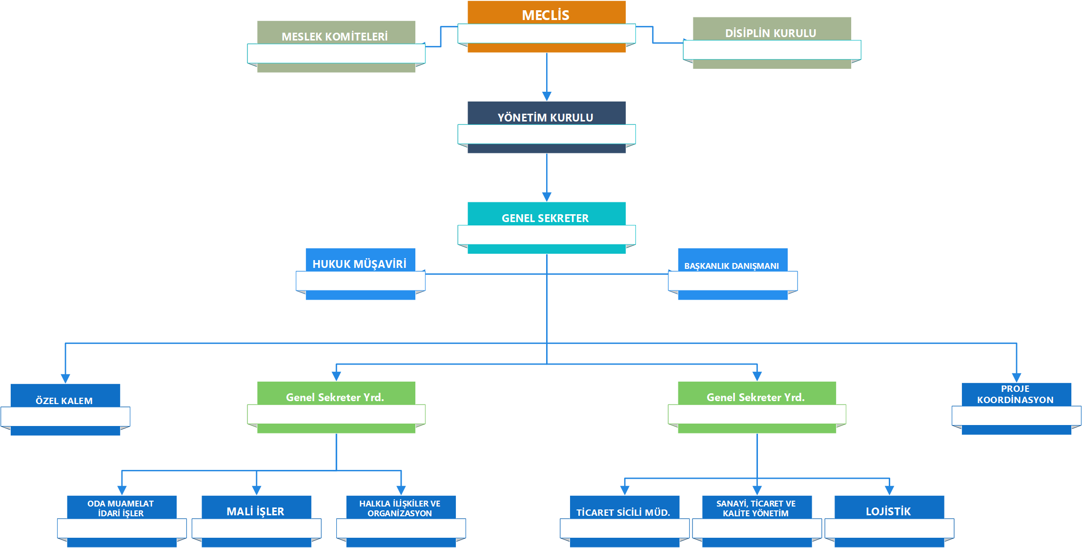 Organizasyon Şeması